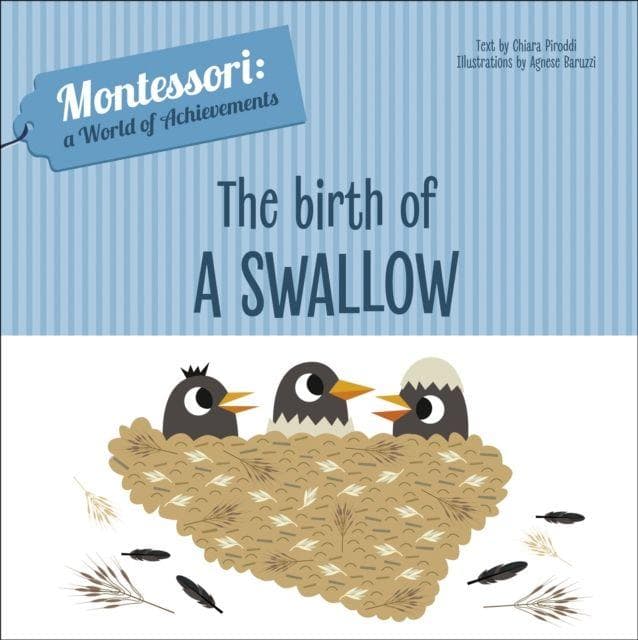 The Birth of a Swallow