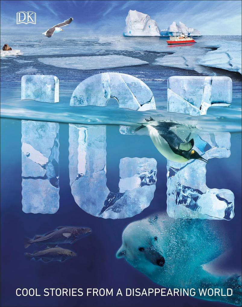 Ice