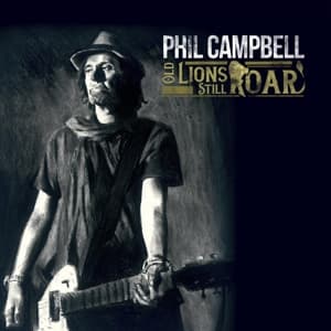 Old Lions Still Roar LP (black) in gatefold