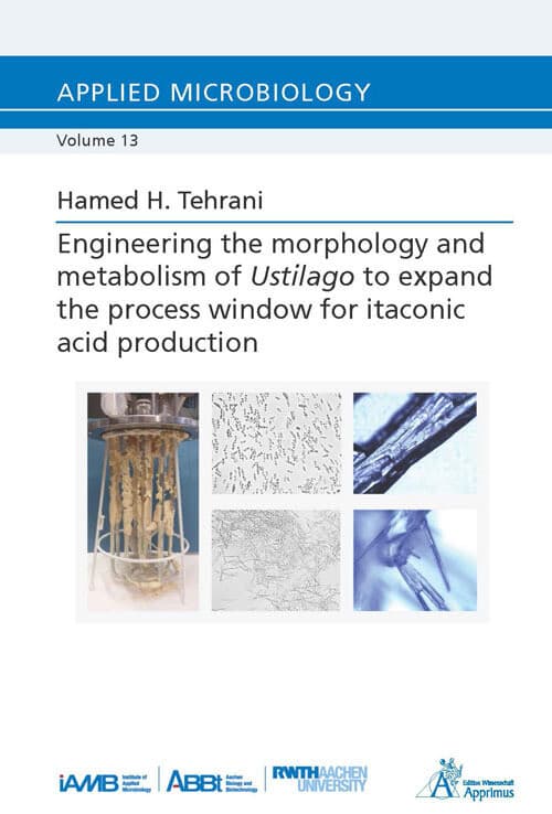 Engineering the morphology and metabolism of Ustilago to expand the process window for itaconic acid