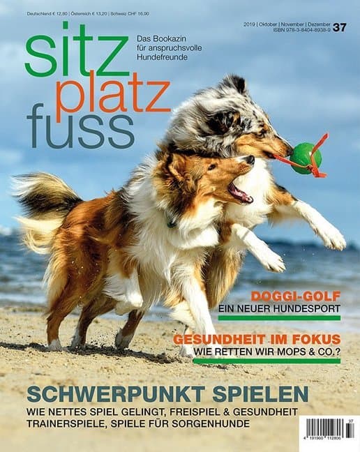 Schwerpunkt Spielen