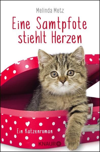 Eine Samtpfote stiehlt Herzen