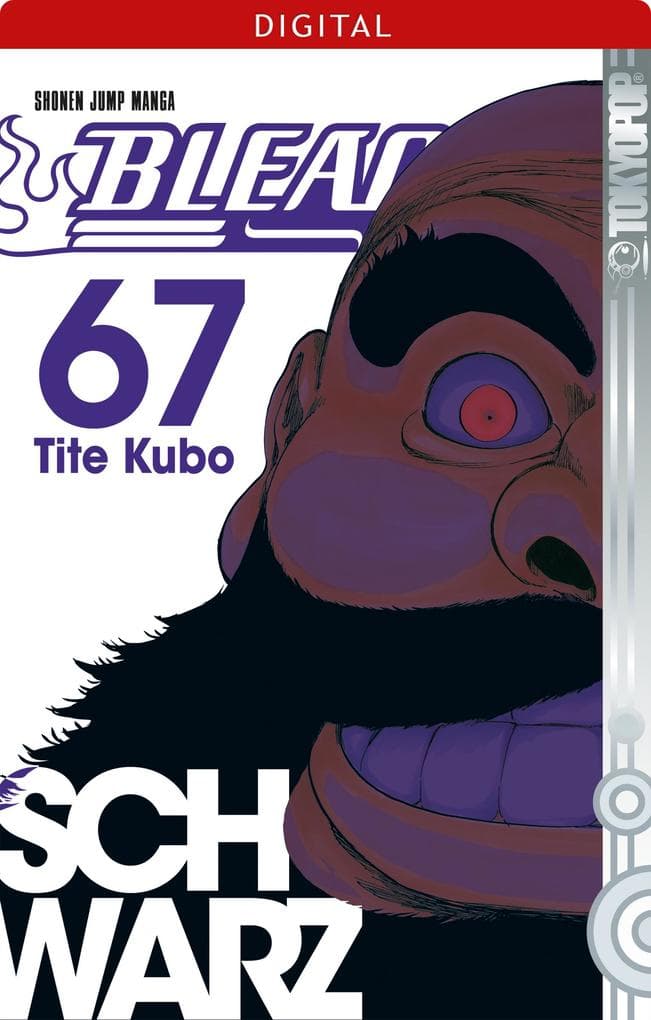 Bleach 67