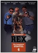 Kommissar Rex - Die komplette 6. Staffel (3 DVDs)