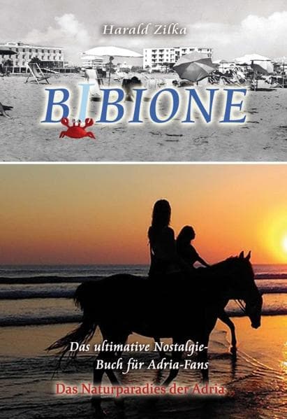 BIBIONE - Das ultimative Fanbuch