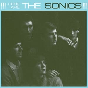 Here Are The Sonics (180 Gr.Vinyl)