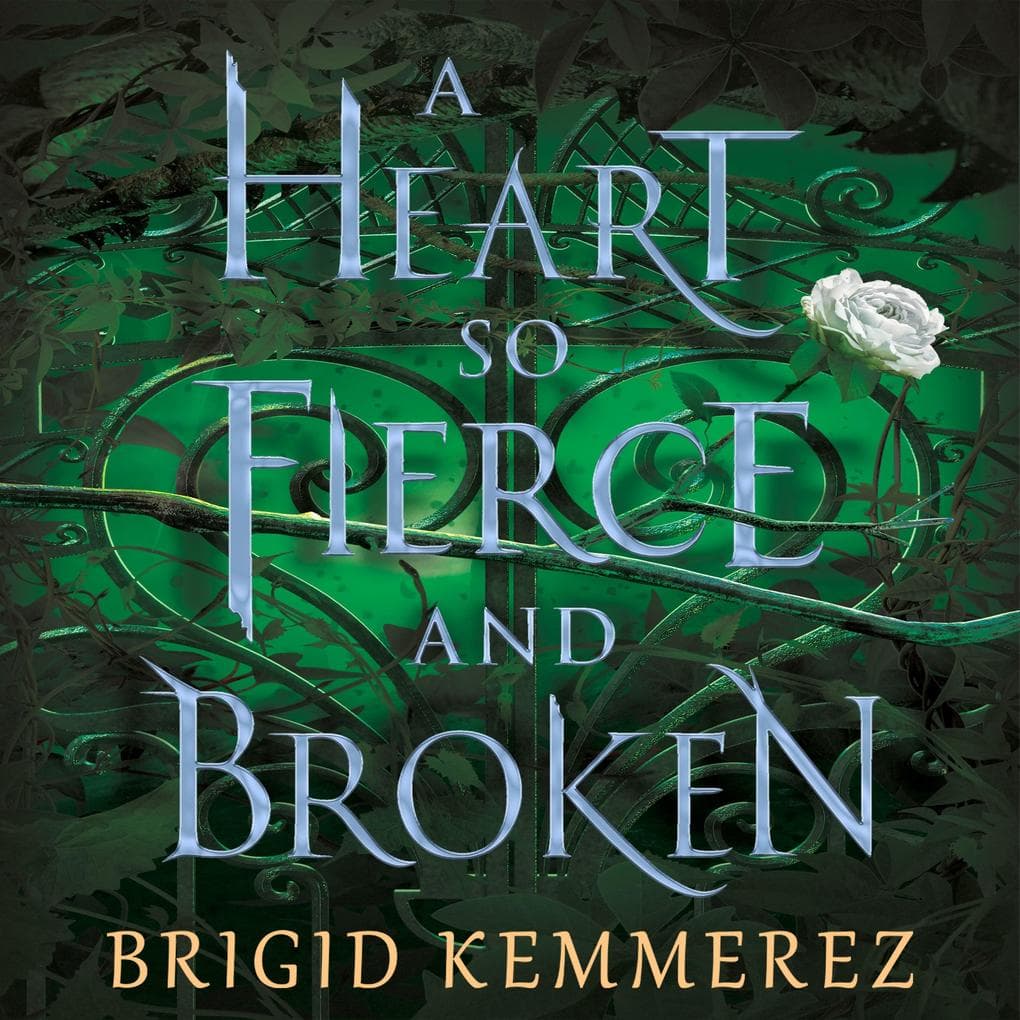 A Heart So Fierce and Broken