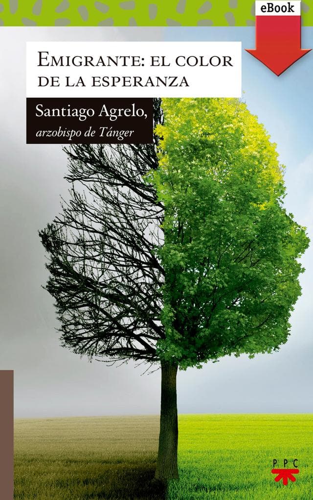 Emigrante: el color de la esperanza