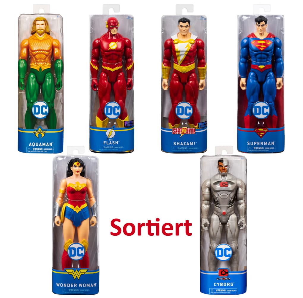 Spin Master - DC - 30cm-Figuren