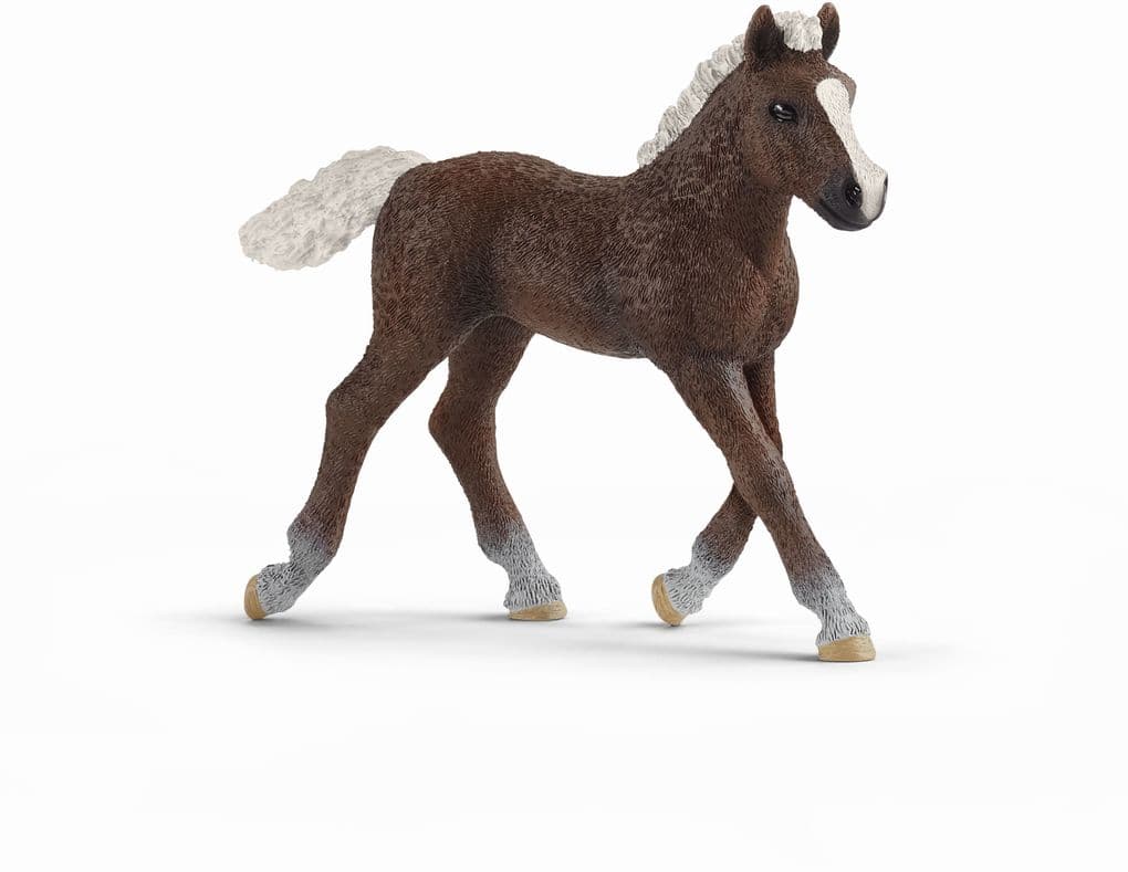 Schleich - Farm World - Schwarzwälder Fohlen