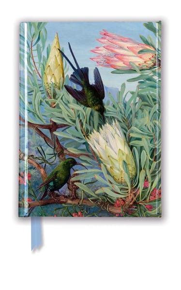 Kew Gardens' Marianne North: Honeyflowers and Honeysuckers (Foiled Pocket Journal)