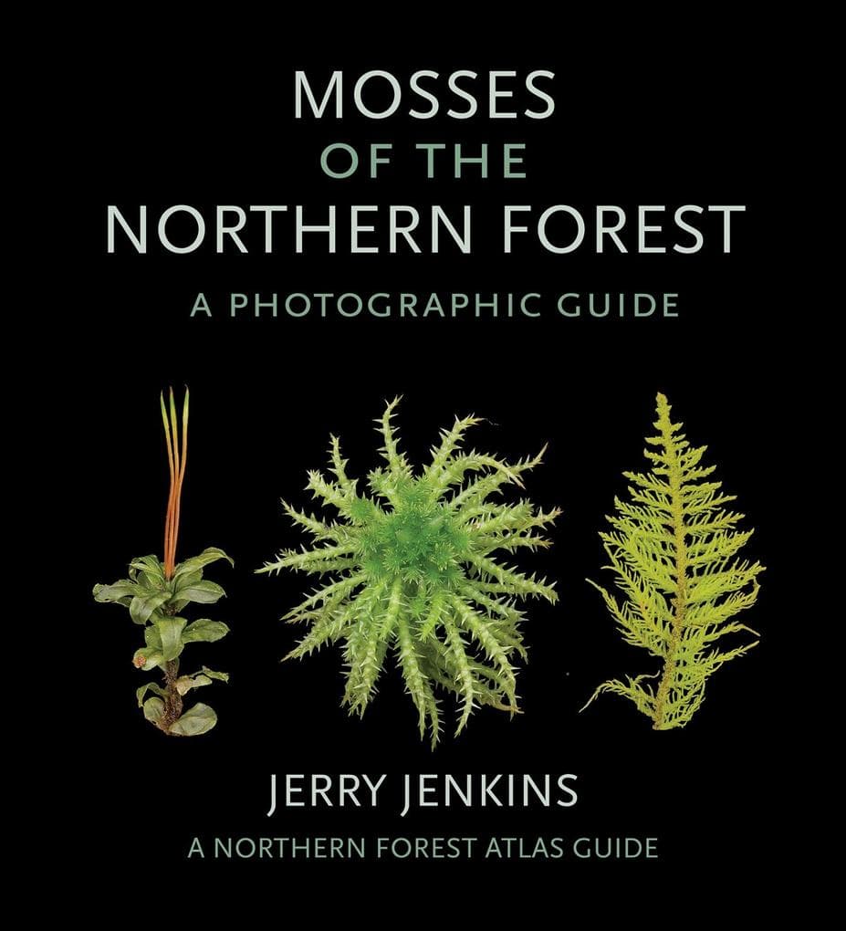 Mosses of the Northern Forest