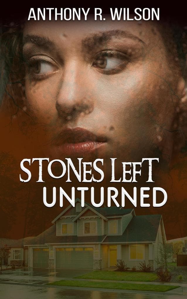 Stones Left Unturned (The Silhouette in the Dark City)