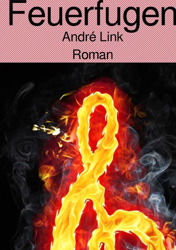 Feuerfugen: Roman