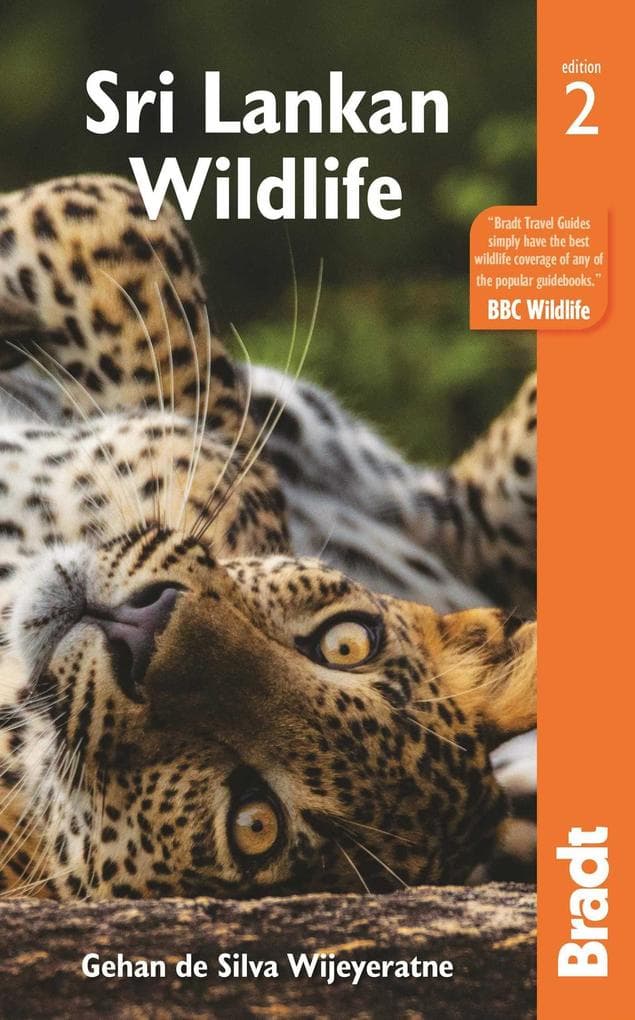 Sri Lankan Wildlife