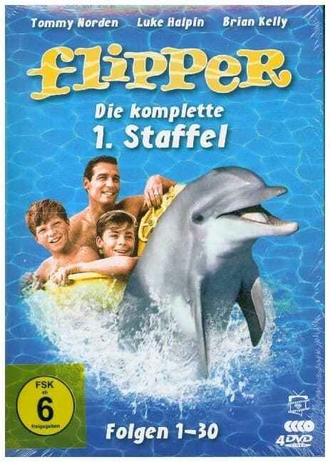 Flipper - Die komplette 1. Staffel (4 DVDs)