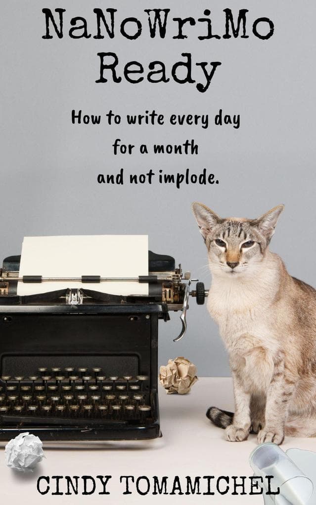 NaNoWriMo Ready (Writing Organization, #1)