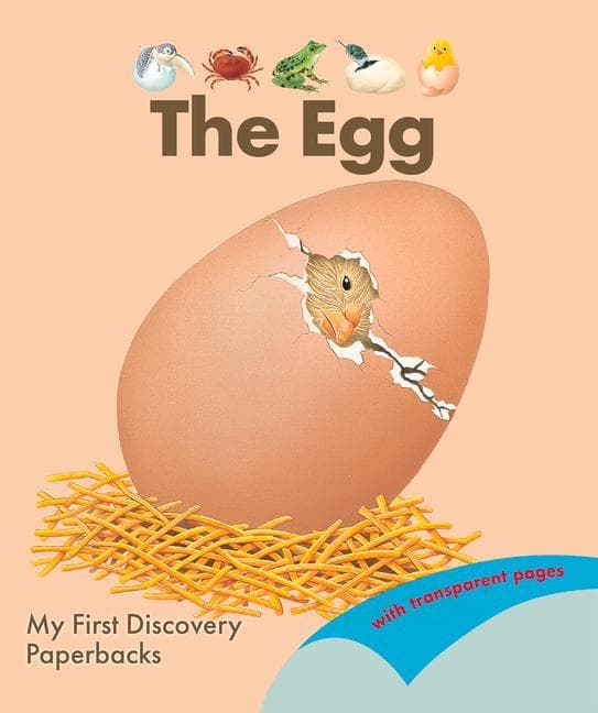 The Egg