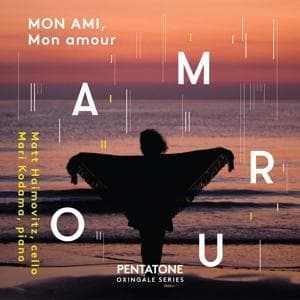 Mon AMI,Mon amour