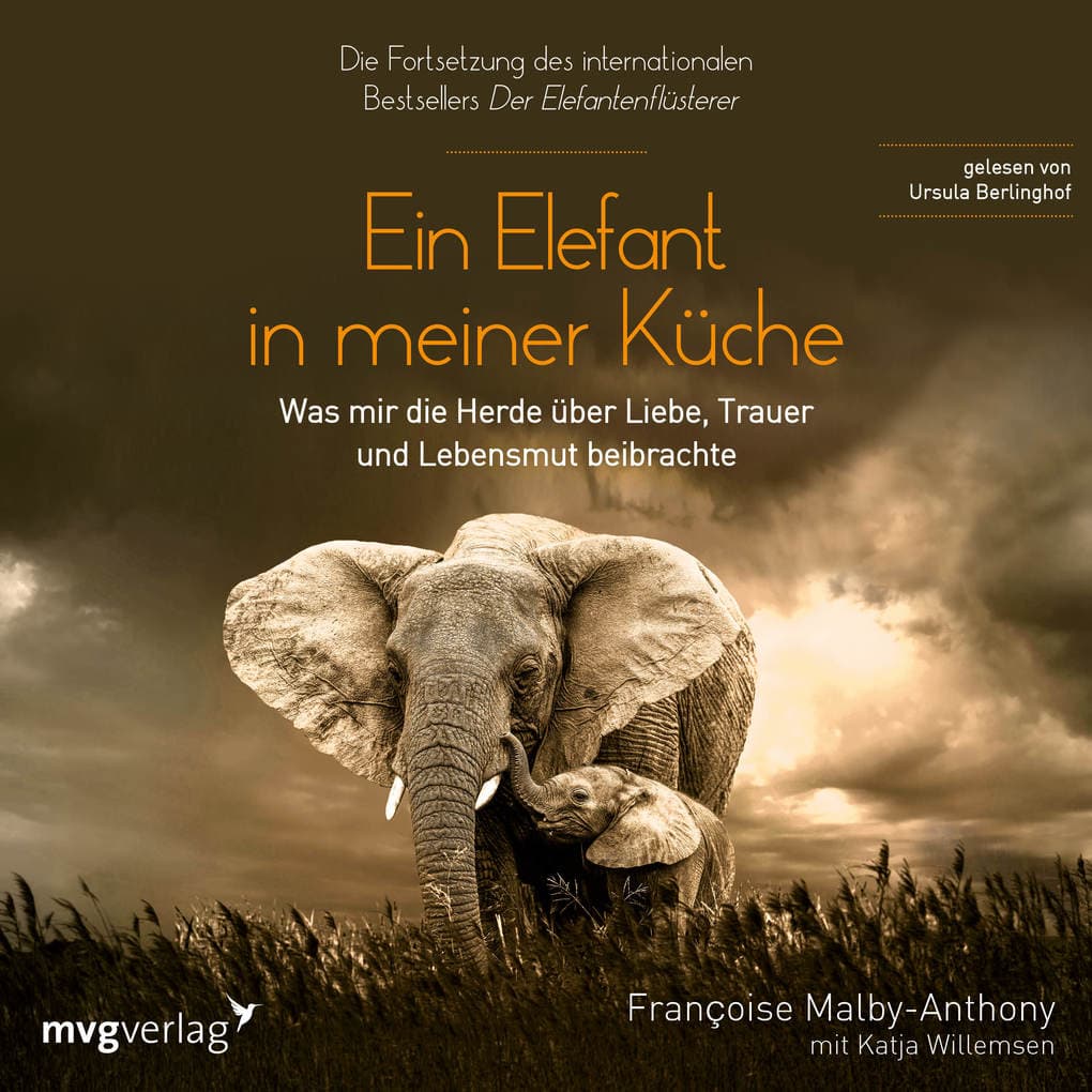 Ein Elefant in meiner Küche