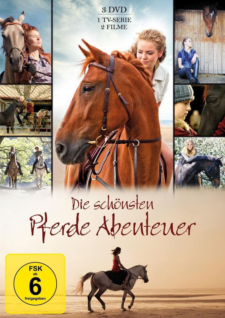 Die schönsten Pferde Abenteuer
