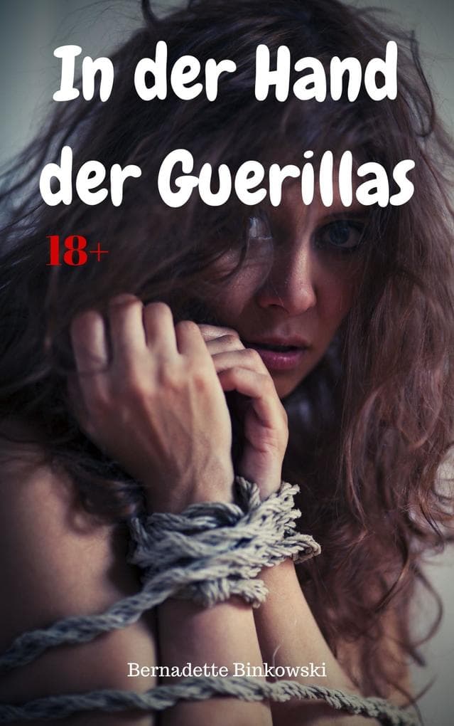 In der Hand der Guerillas