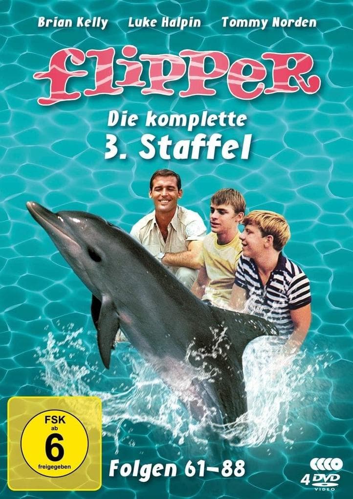 Flipper