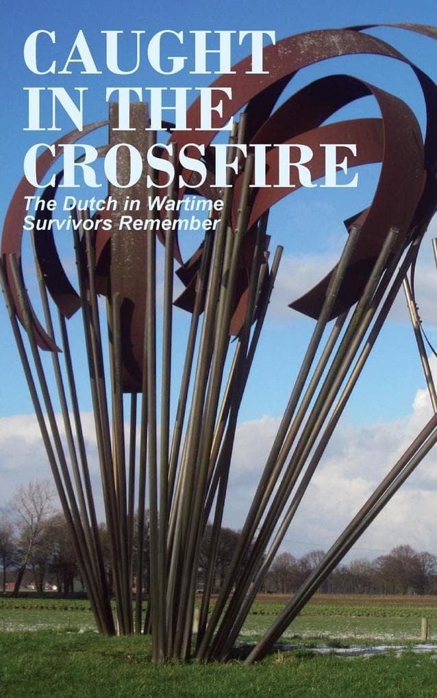 Caught in the crossfire