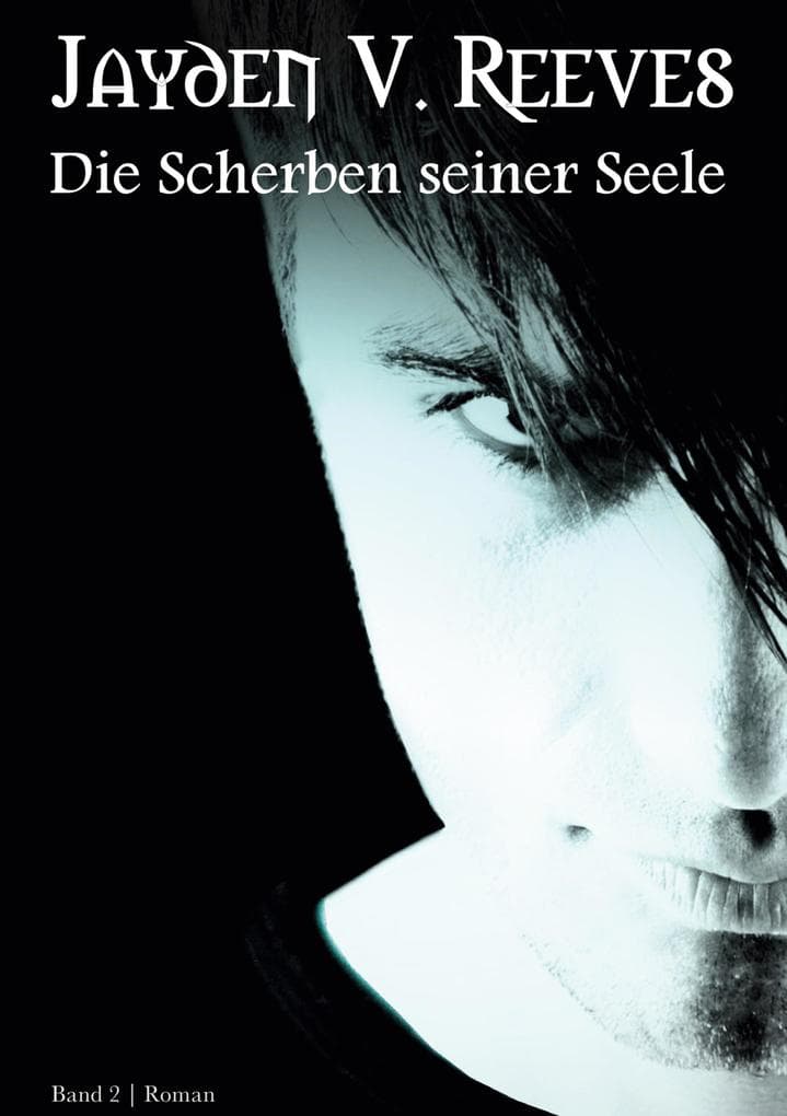 Die Scherben seiner Seele (Hardcover-Ausgabe): Band 2