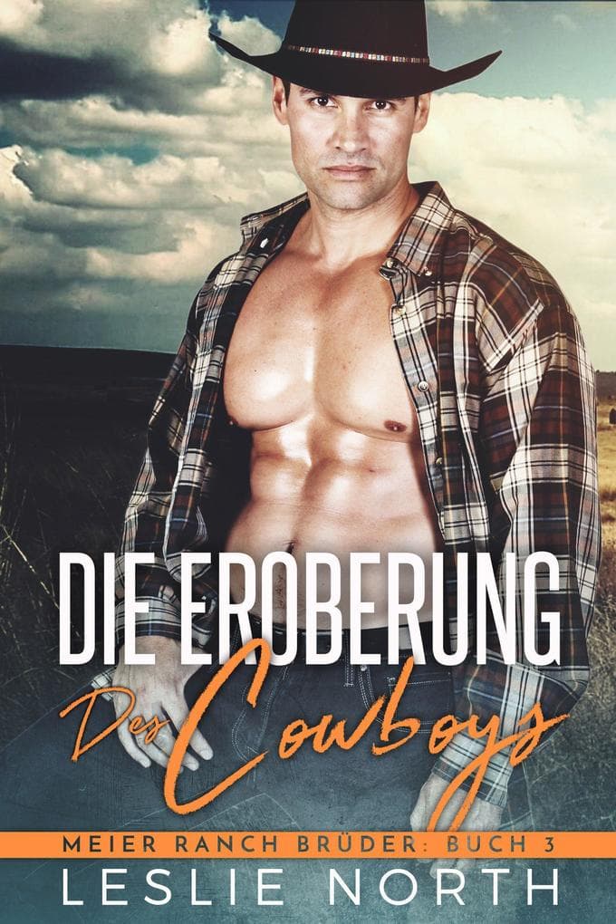Die Eroberung des Cowboys (Meier Ranch Brüder, #3)