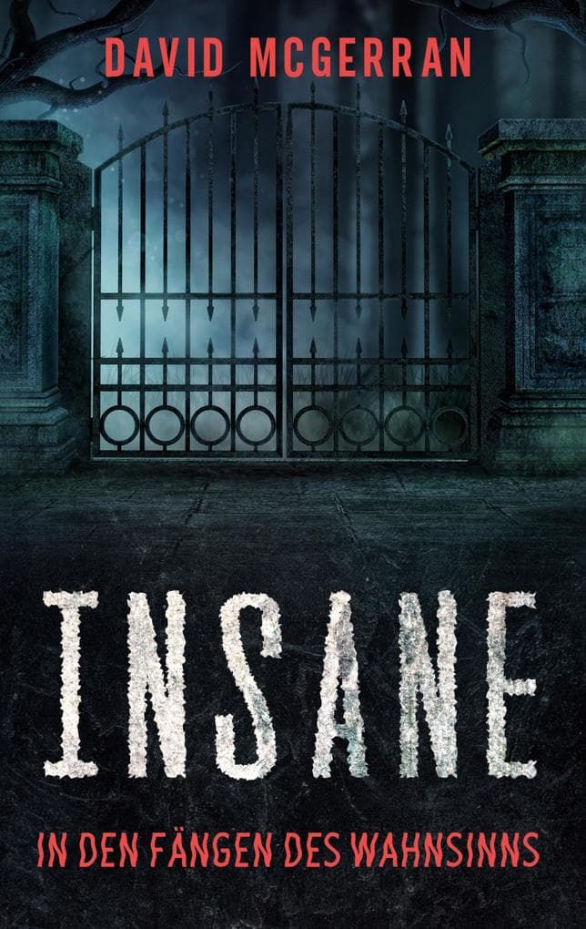 Insane - In den Fängen des Wahnsinns: Packender Psychothriller für schlaflose Nächte