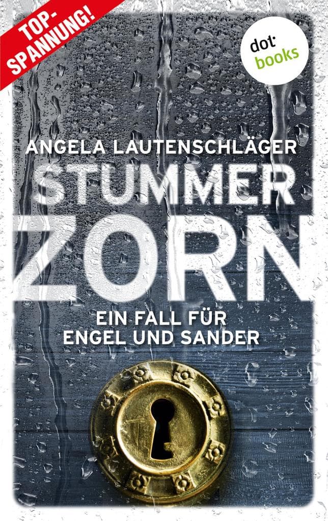 Stummer Zorn - Ein Fall für Engel und Sander 7