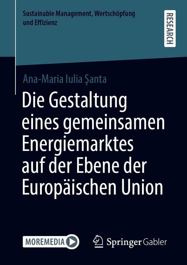 Die Gestaltung eines gemeinsamen Energiemarktes auf der Ebene der Europäischen Union