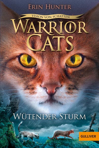 Warrior Cats - Vision von Schatten. Wütender Sturm