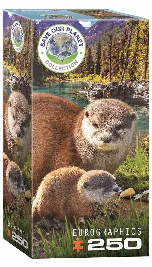 Eurographics 8251-5558 - Otter, Puzzle 250 Teile