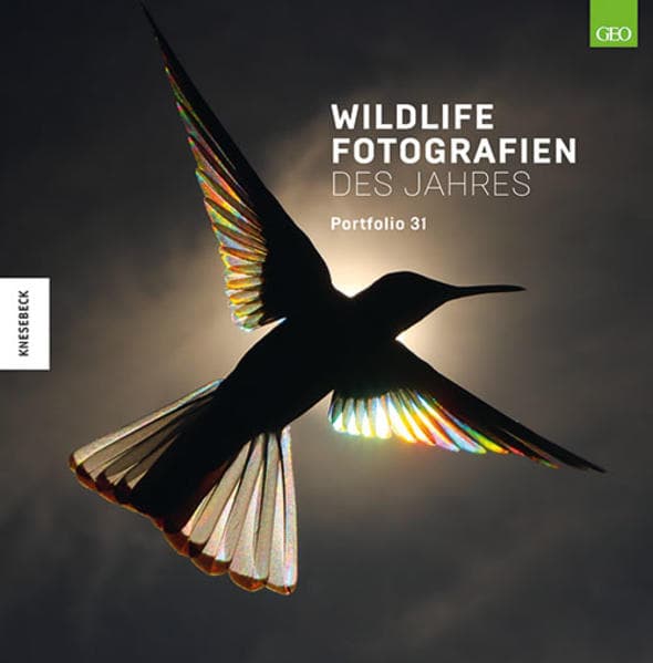 Wildlife Fotografien des Jahres - Portfolio 31