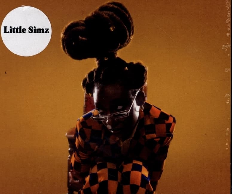 Sometimes I Might Be Introvert