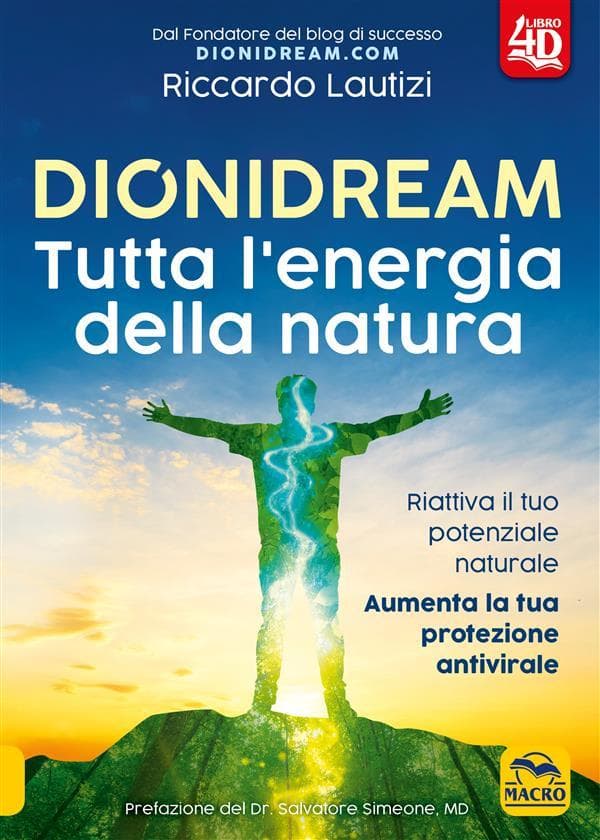 Dionidream