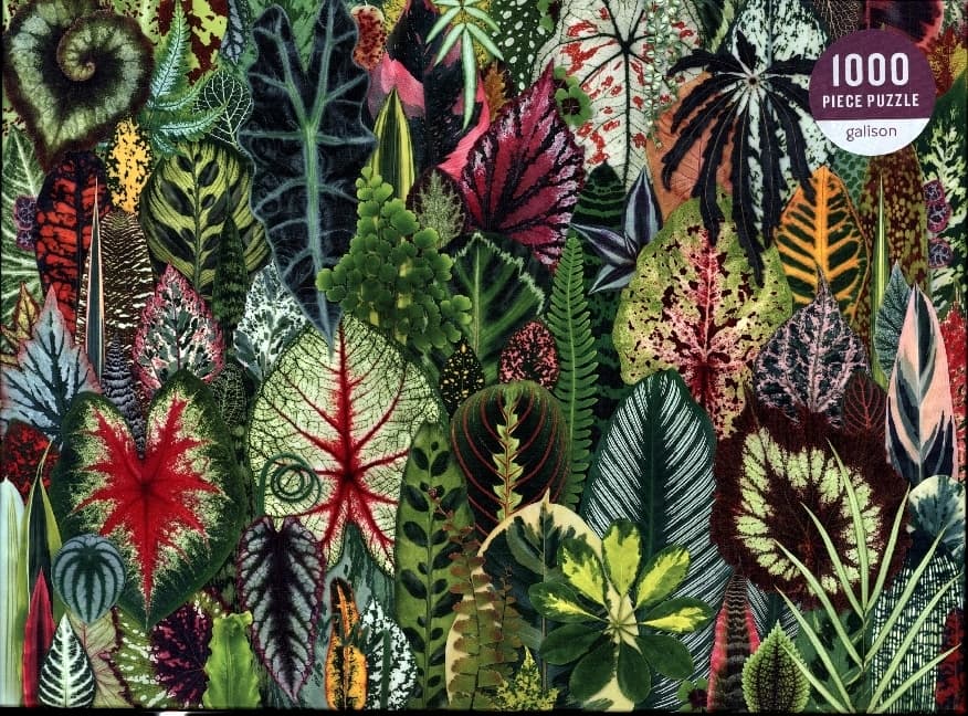 Houseplant Jungle 1000 Piece Puzzle