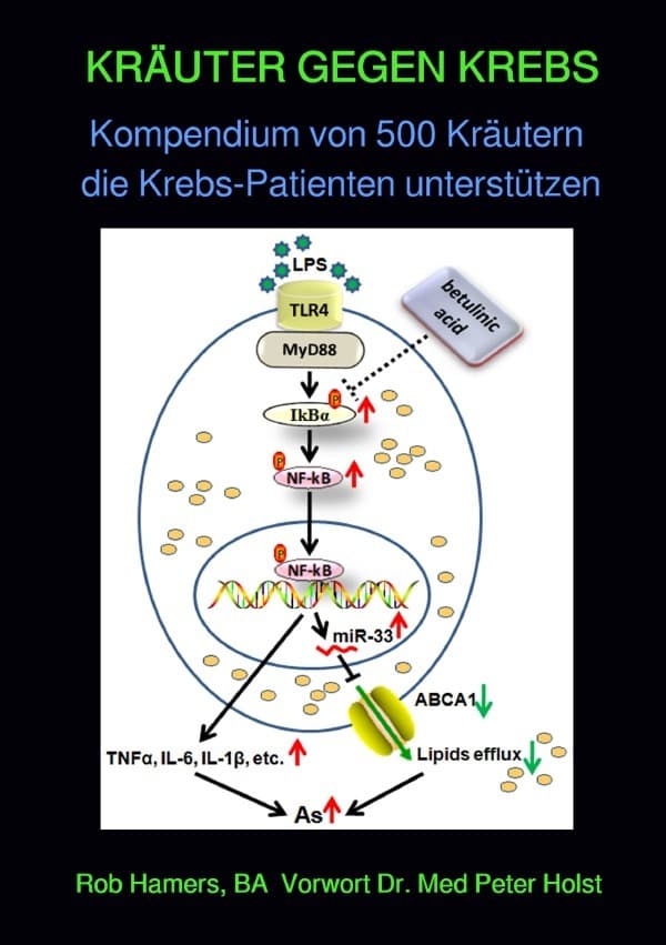 KRÄUTER GEGEN KREBS: Kompendium von 500 Kräutern die Krebs-Patienten unterstützen