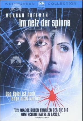 Im Netz der Spinne
