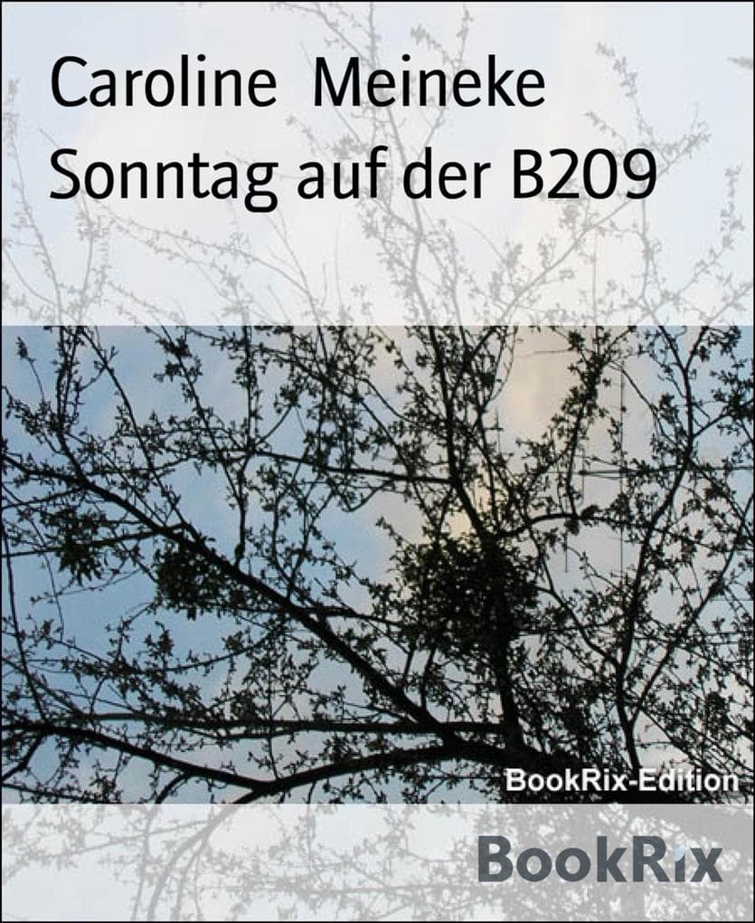 Sonntag auf der B209