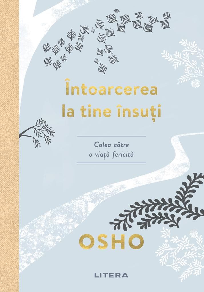 Intoarcerea La Tine Insuti