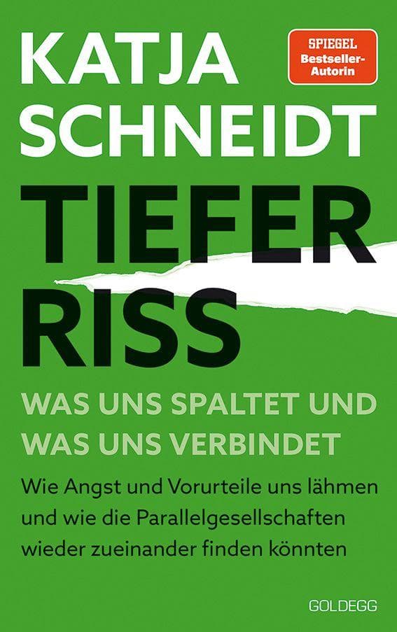 Tiefer Riss - Was uns spaltet und was uns verbindet: Wie Angst und Vorurteile uns lähmen und wie die Parallelgesellschaften wieder zueinanderfinden könnten