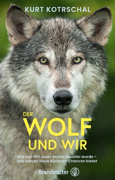 Der Wolf und wir: Wie aus ihm unser erstes Haustier wurde - und warum seine Rückkehr Chancen bietet