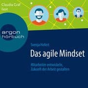 Das agile Mindset