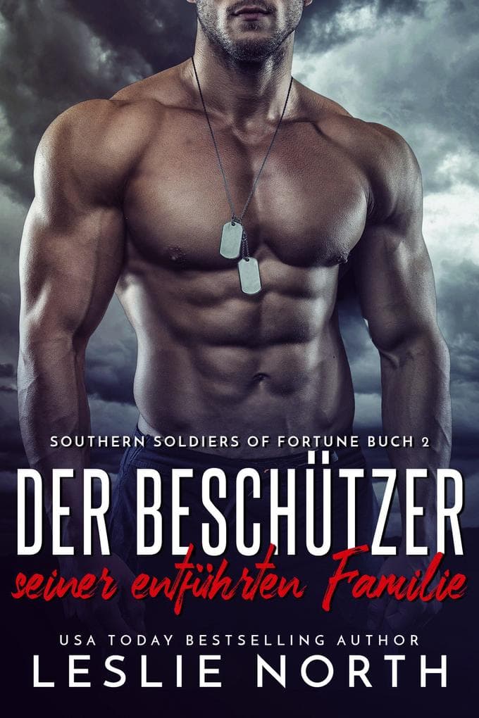 Der Beschützer seiner entführten Familie (Southern Soldiers of Fortune Serie, #2)