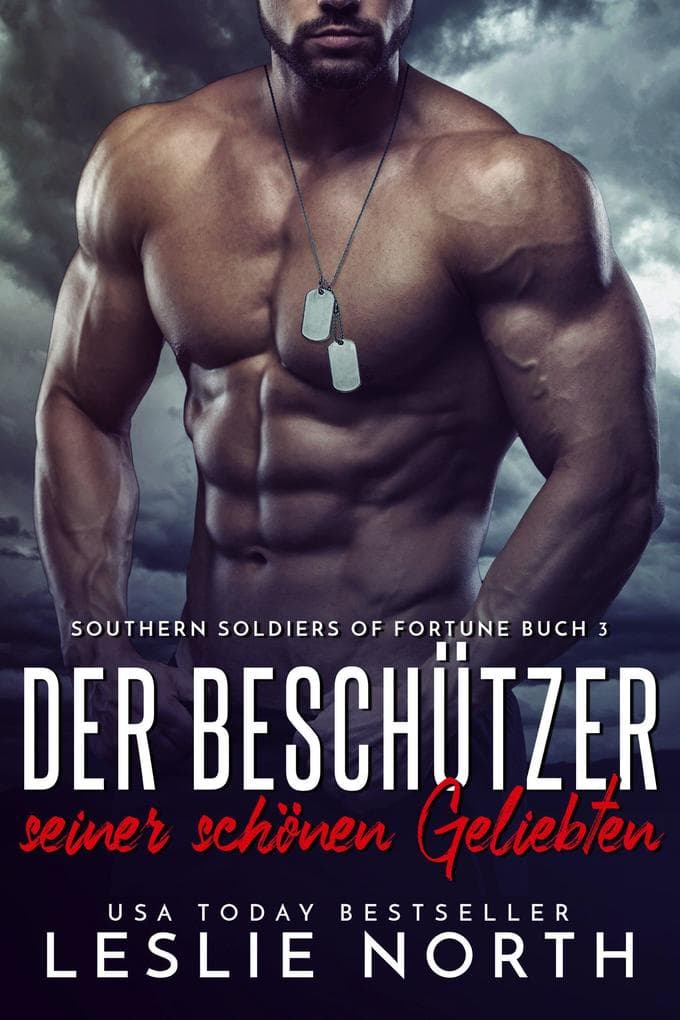 Der Beschützer seiner schönen Geliebten (Southern Soldiers of Fortune Serie, #3)