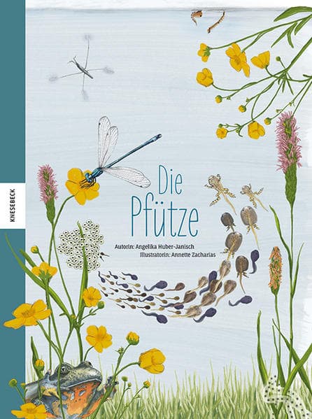 Die Pfütze: Die Vielfalt einer verborgenen Welt entdecken