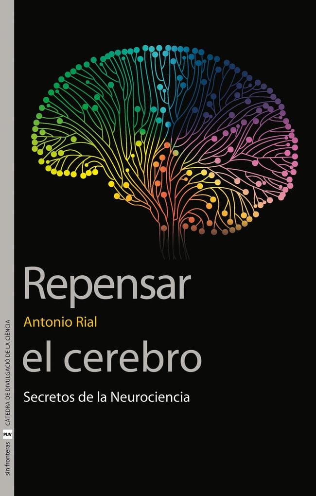 Repensar el cerebro